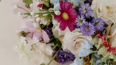 Floral Arrangements