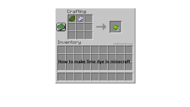 How To get Lime Dye In Minecraft?