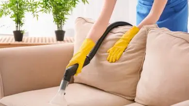 Couch Cleaning