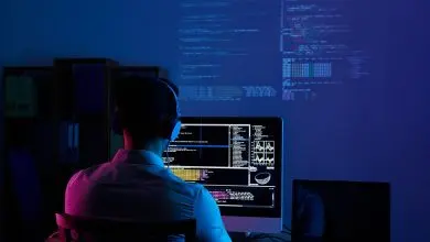Software Development