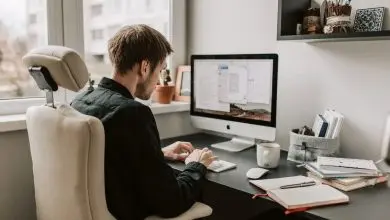 Essay Writing Services