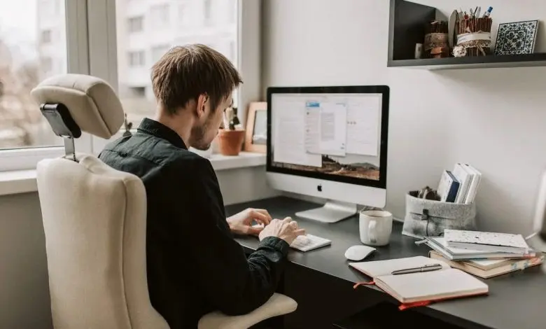 Essay Writing Services