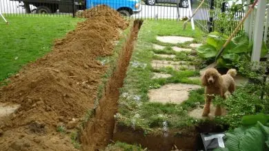 What's a Sump Pump and Why Do I Need One?