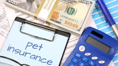 Pet Insurance