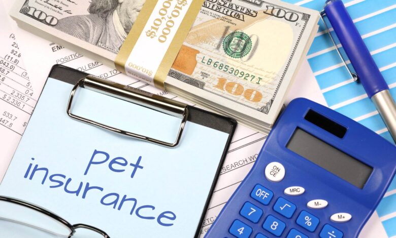 Pet Insurance