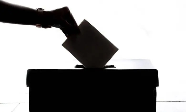 Voting