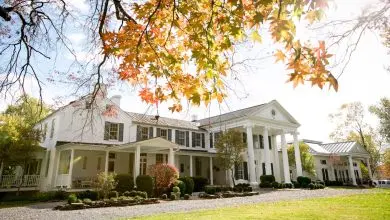 Accrued Interest