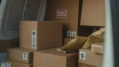 Versatile Solutions Paper Bags, Padded Envelopes & Beyond