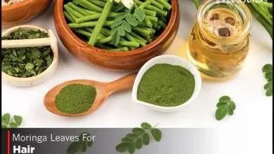 Moringa Leaves