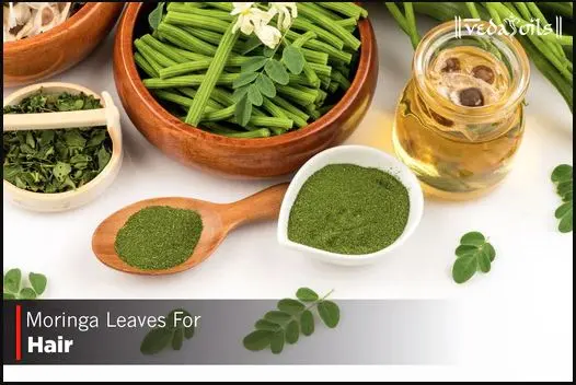 Moringa Leaves